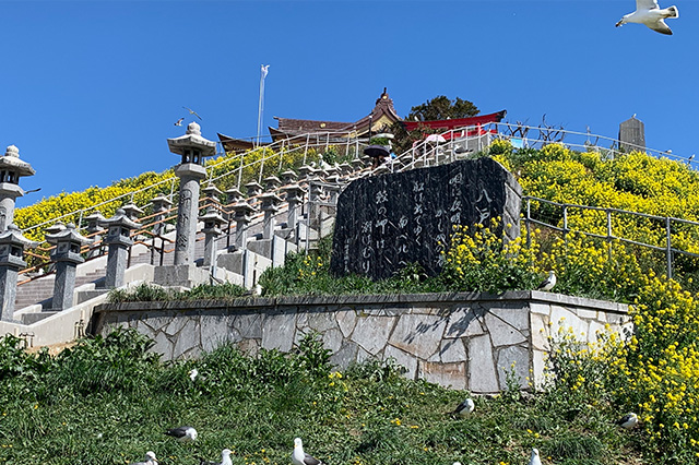豊富な支援実績