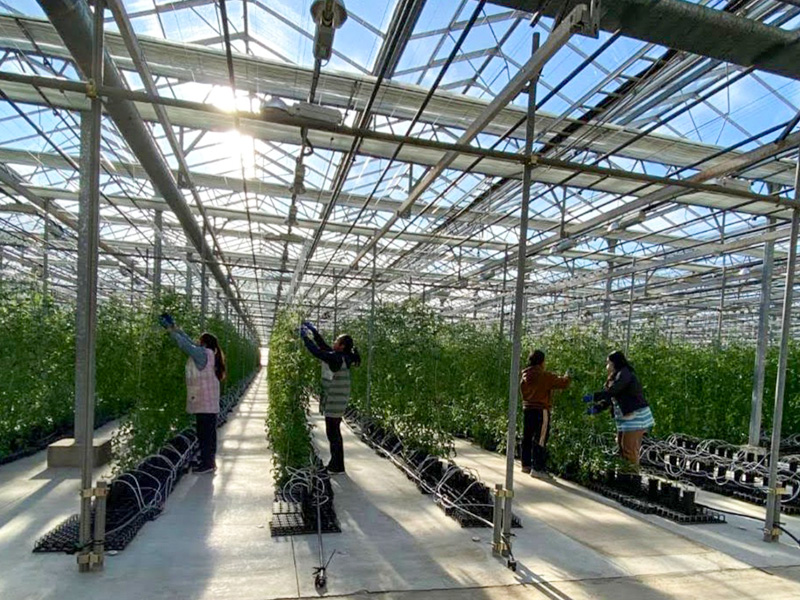 特定技能の種類